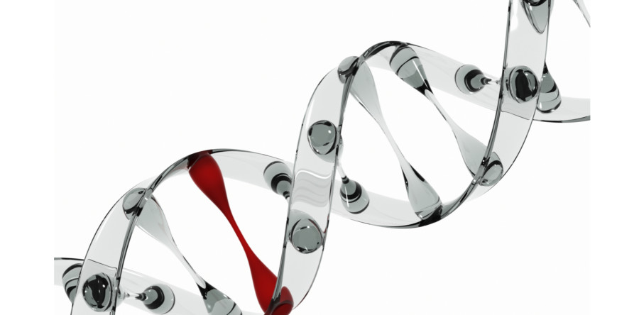 Il link è sempre consentito?